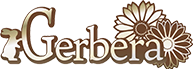 Gerbera（ガーベラ）